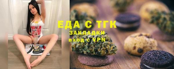 сатива Кулебаки