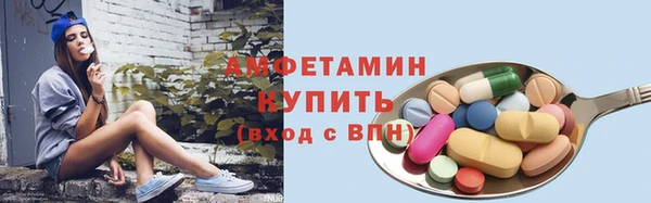 сатива Кулебаки