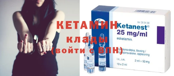 сатива Кулебаки