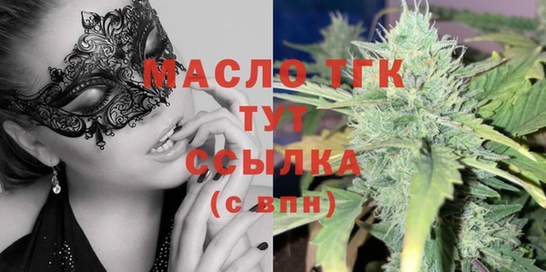 сатива Кулебаки