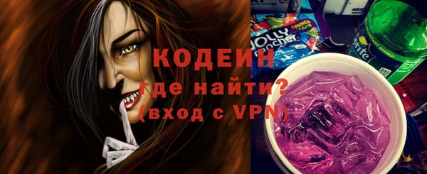 сатива Кулебаки