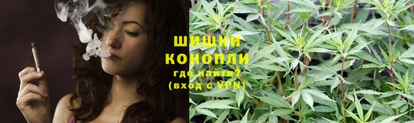 сатива Кулебаки